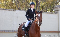 黄瓜秋葵草莓丝瓜荔枝香蕉绿巨人